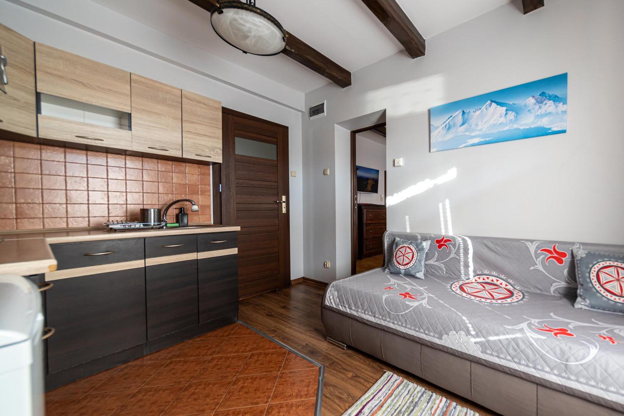 Apartamenty Parzenica 扎科帕内 外观 照片